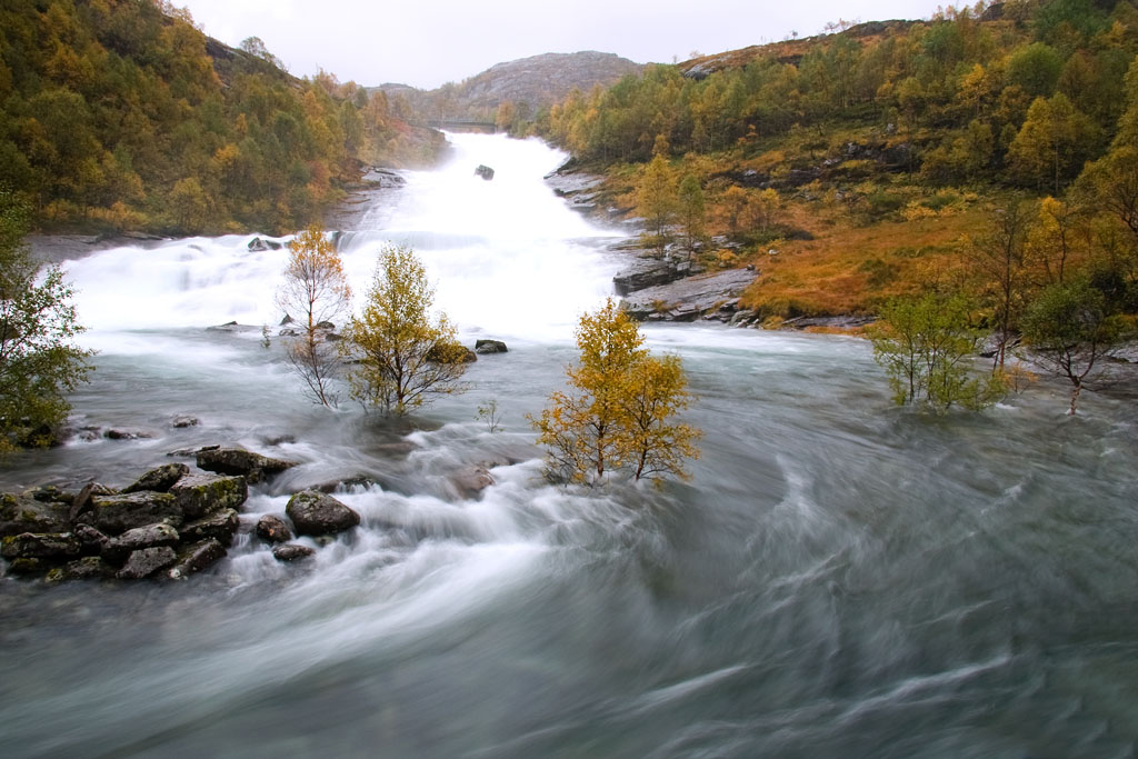 Romarheimsdalen - River